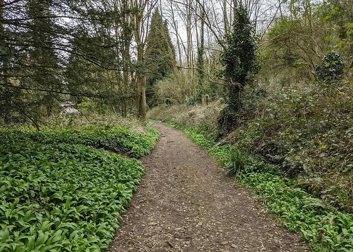 Apartment Self-catering Studio+kitchen+parking