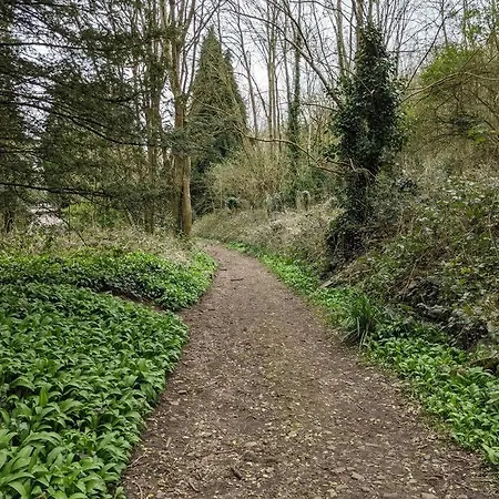 Daire Self-catering Studio+kitchen+parking